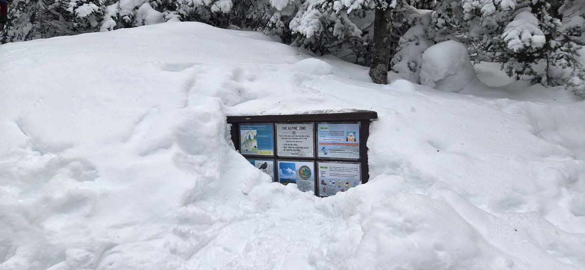 Sean Conway tweet media