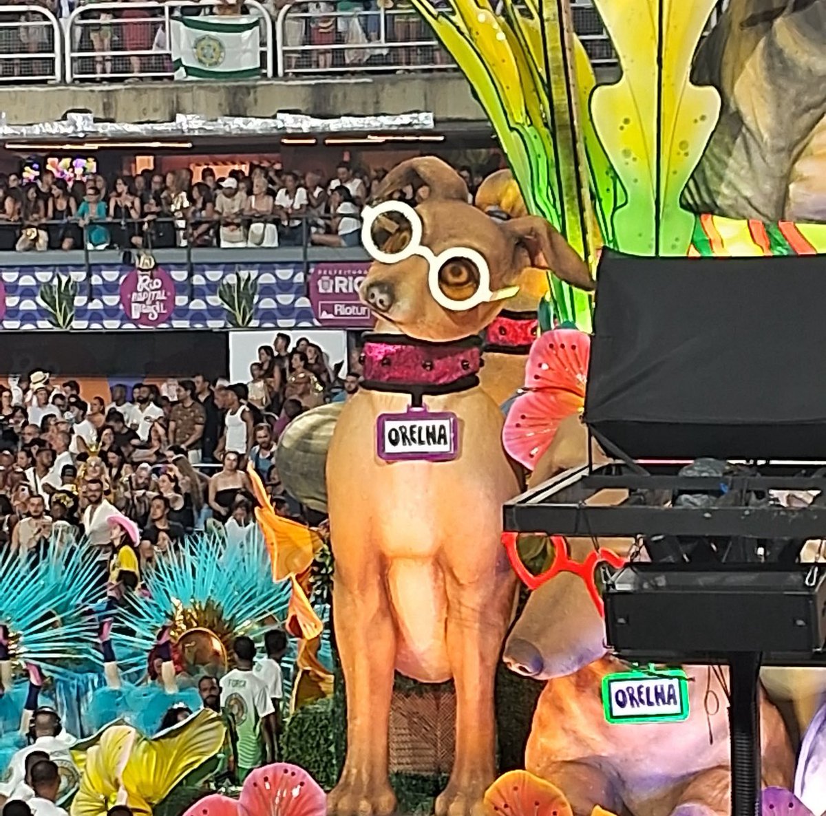 kaarolzx tweet media