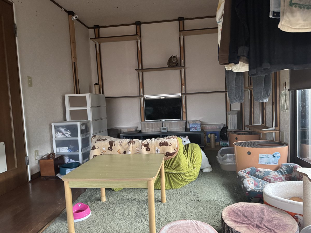 ではおやすみなさい💤