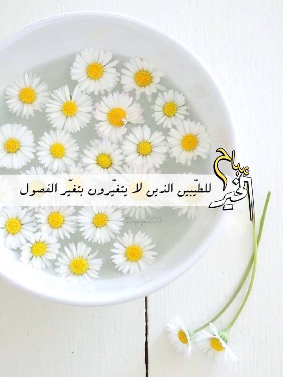 صباحكم نور وإشراق وقلوبكم مغمورة بذكر الله ورضاه 🌤️
اللهم في هذا الصباح افتح لنا أبواب رحمتك واملأ يومنا سعادة وطمأنينة وحقق لنا ما نتمنى بكرمك يا كريم 🌿
أسأل الله أن يجعل صباحكم مفعمًا بالأمل وأن يسقي أرواحكم فرحًا لا يزول وراحة تسكن القلب والعقل 🤍✨

⁧ #صباح_الخير ⁩