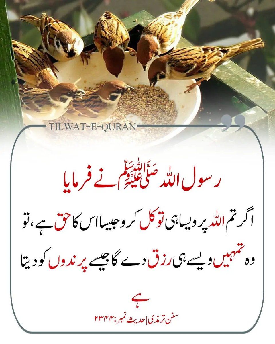 رسول اللہ ﷺ نے فرمایا 🌼💚