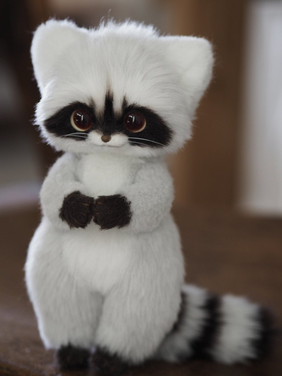 karin* (@chibipapikarin) / Posts / X