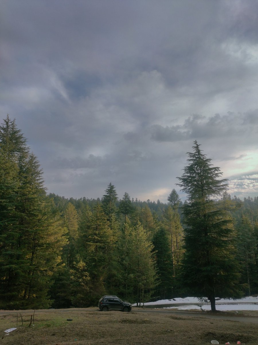 FaraazWani's tweet photo. #myencounterwithnature #farazandthelens https://t.co/BhC3SGfNE8