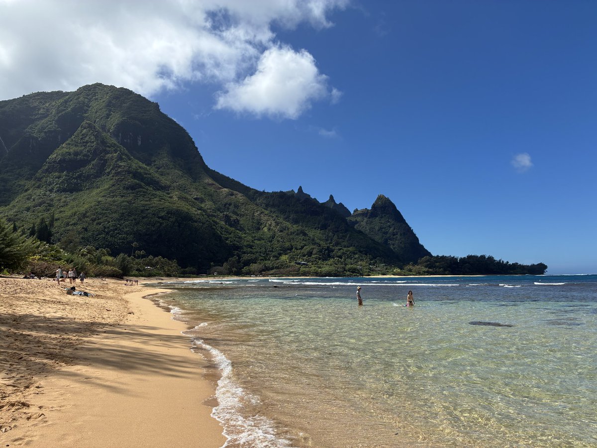 Derek Hiebert tweet media