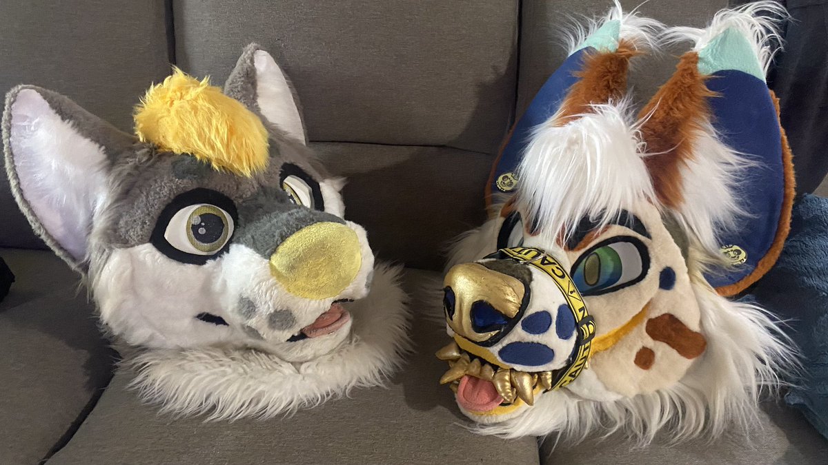 Where all my fellow yeens and huskies at post yeens and huskies in the comments