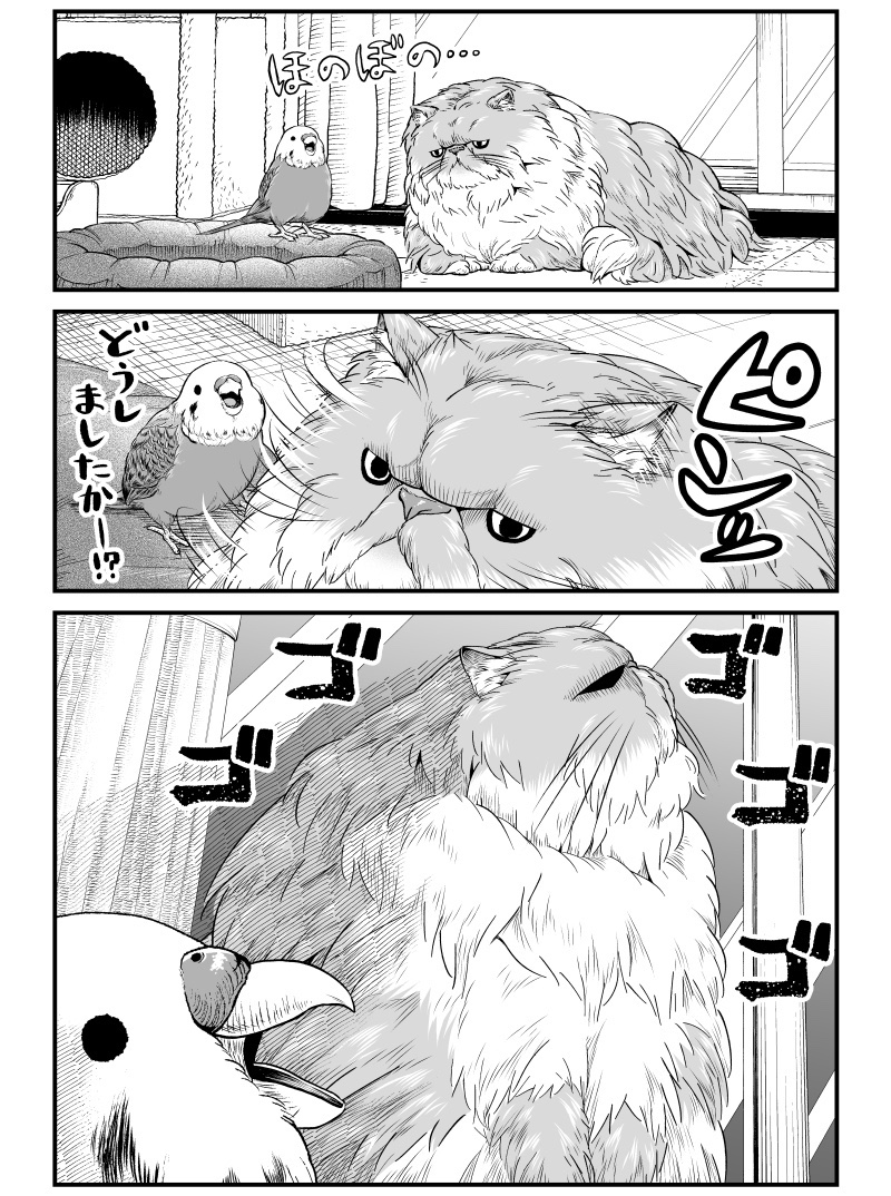 ゴゴゴゴ…

本日発売のビッグコミック3月増刊号に『ニャーゴとピュロロロ』が2話掲載されております🐈🌪️ 