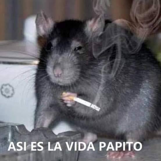 <a href="/jose_cucul86695/">Rafael Curruchiche</a> Hoy, me enteré que la vieja puta, aparte de corrupta, también tuvo los huevos de vender niños indígenas, así que con tu cara, con tu sangre, deberías de dormir con los caites puestos porque esa vieja cerota no conoce de códigos 🙂🙂🙂 
(el que entendió, entendió)