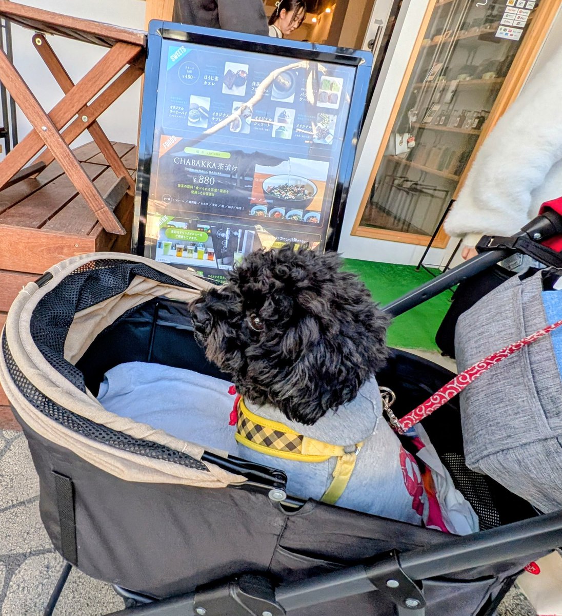sasisusesodesu2's tweet photo. ちょいとドライブ行ってきた🐶
駅から熱海銀座までお散歩🐾
CHABAKKAのドラフトティー

平和通りで食べ歩き🐶
アワビ、温泉饅頭、金目鯛干物
ぽん君は、食べるものなくて
ガッカリかな https://t.co/vXQM507lnD