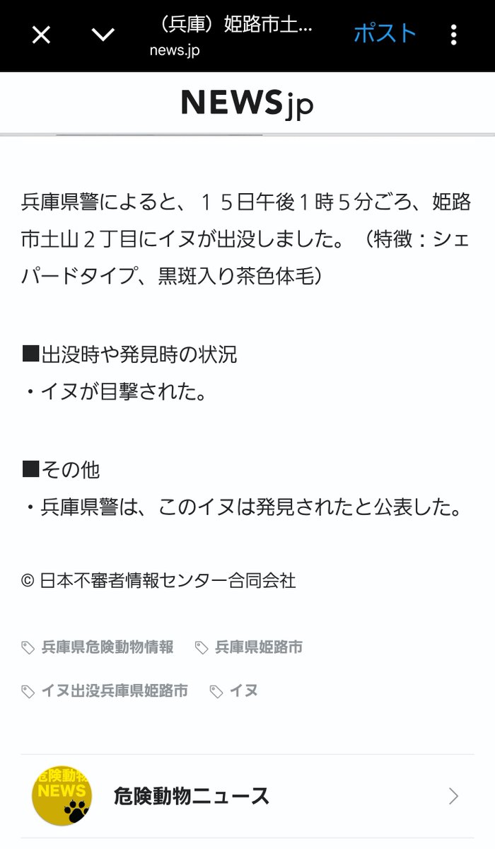 Post by NASA🍆 on X: 良すぎる🐶