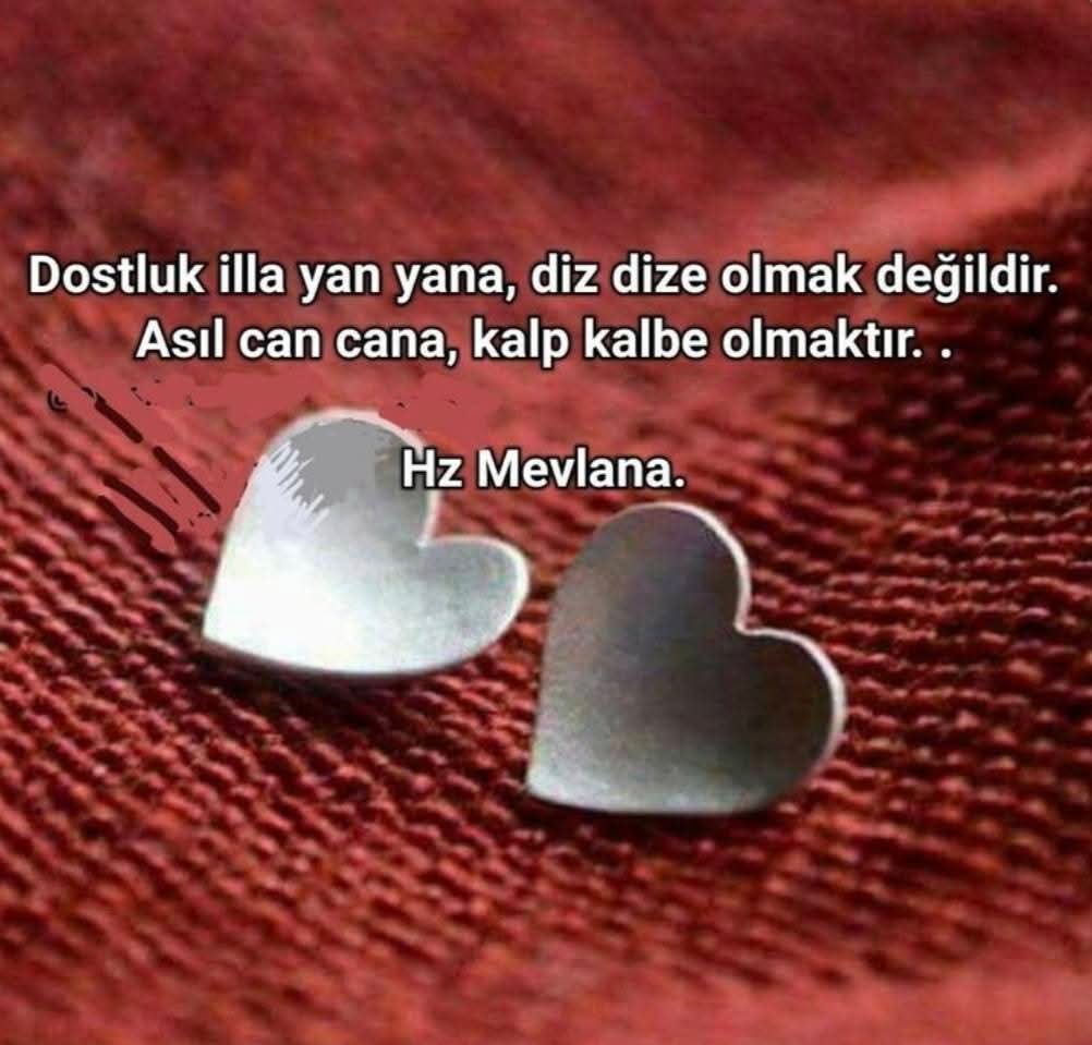 ahiret icin calısan (@cukadarzab1749) on Twitter photo 