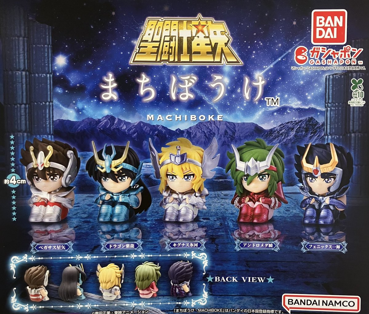 📣 2月17日(火)入荷情報📣 🌟AKB48×オサレカンパニー 第3弾 🌟ひざま