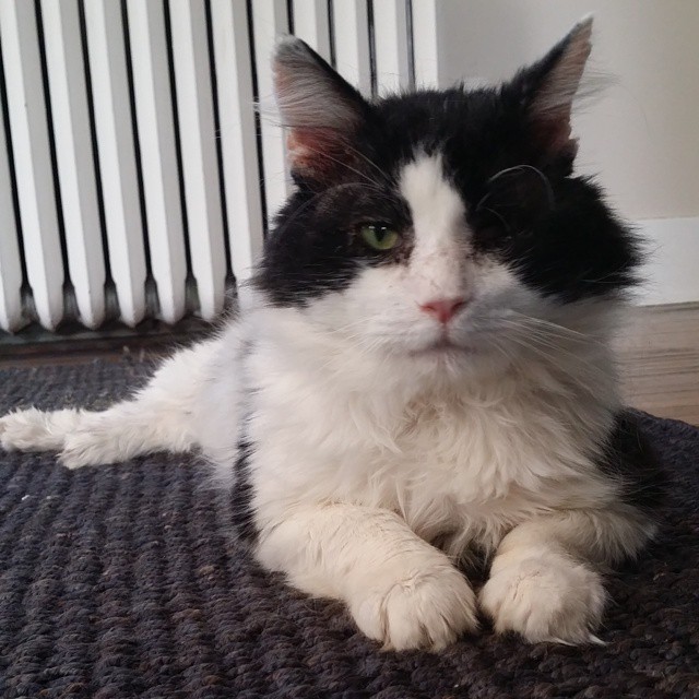 Adam Walker tweet media