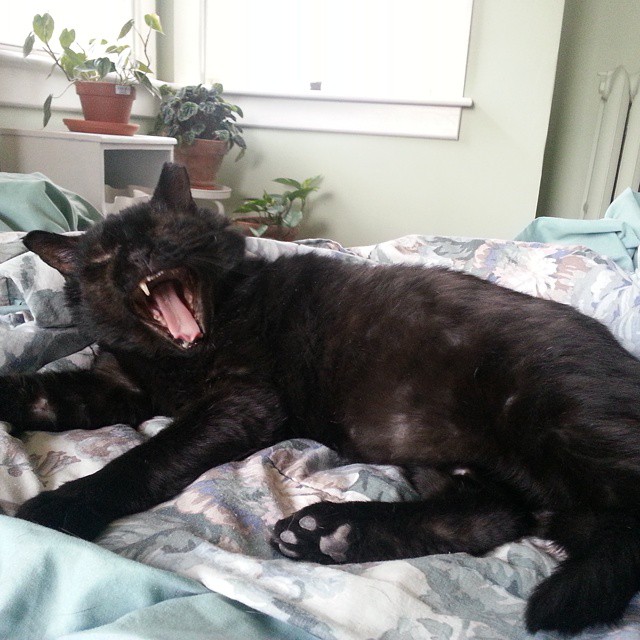 Adam Walker tweet media