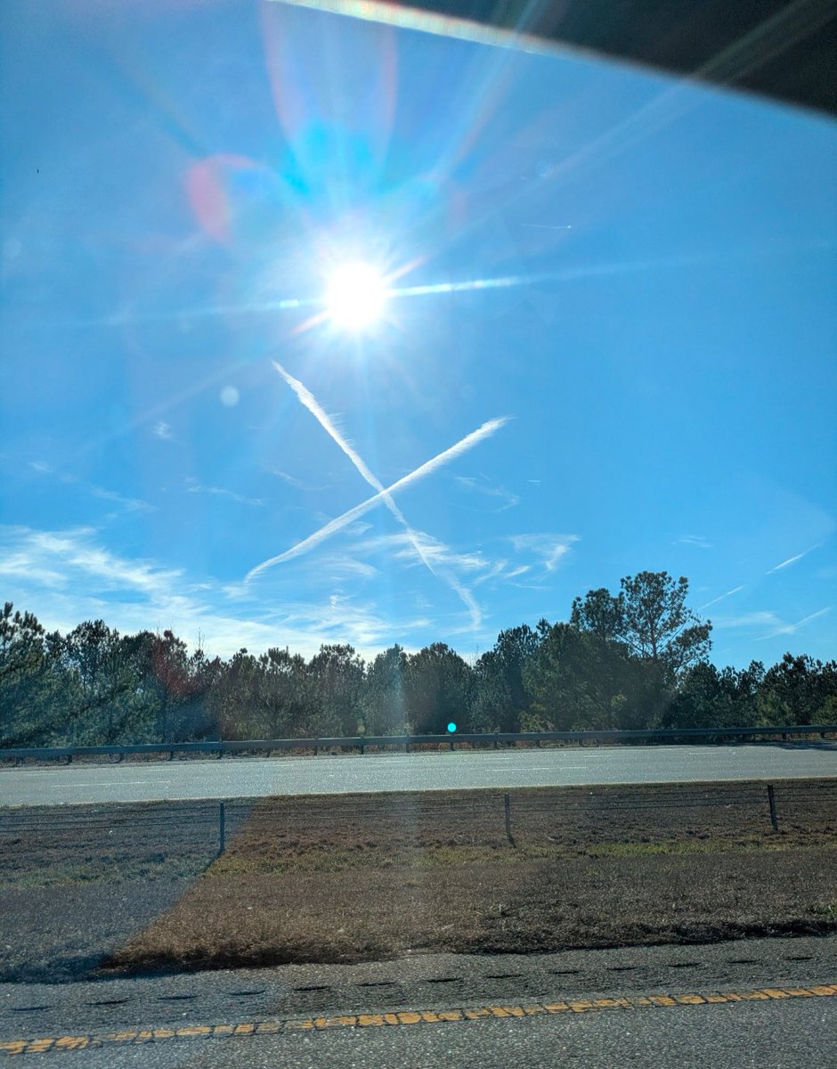 LinfordDavid's tweet photo. @birdabo Fayetteville, NC a couple of weeks ago. https://t.co/k8g2eIghQd