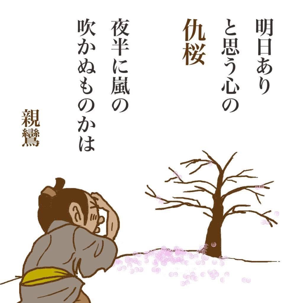 كالذي ظنَّ أن زهور الكرز الفانية باقيةٌ للغد
明日ありと思う心の仇桜
asu ari to omou kokoro no adazakura
أي كالذي رأى زهور الكرز وقد بلغت أوج جمالها فنام مطمئناً أنه سيراها في الغد أيضاً فجاءت عاصفةٌ في تلك الليلة واقتلعتها كلها. يُضرَب في تقلب الدنيا وعدم دوام حالها. وهذا المثل
