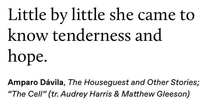 Literarium (@literarium12) on Twitter photo 