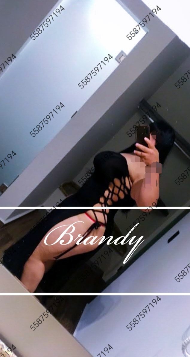 BrandyAmazon's tweet image. Hora  laboral en la oficina 😈