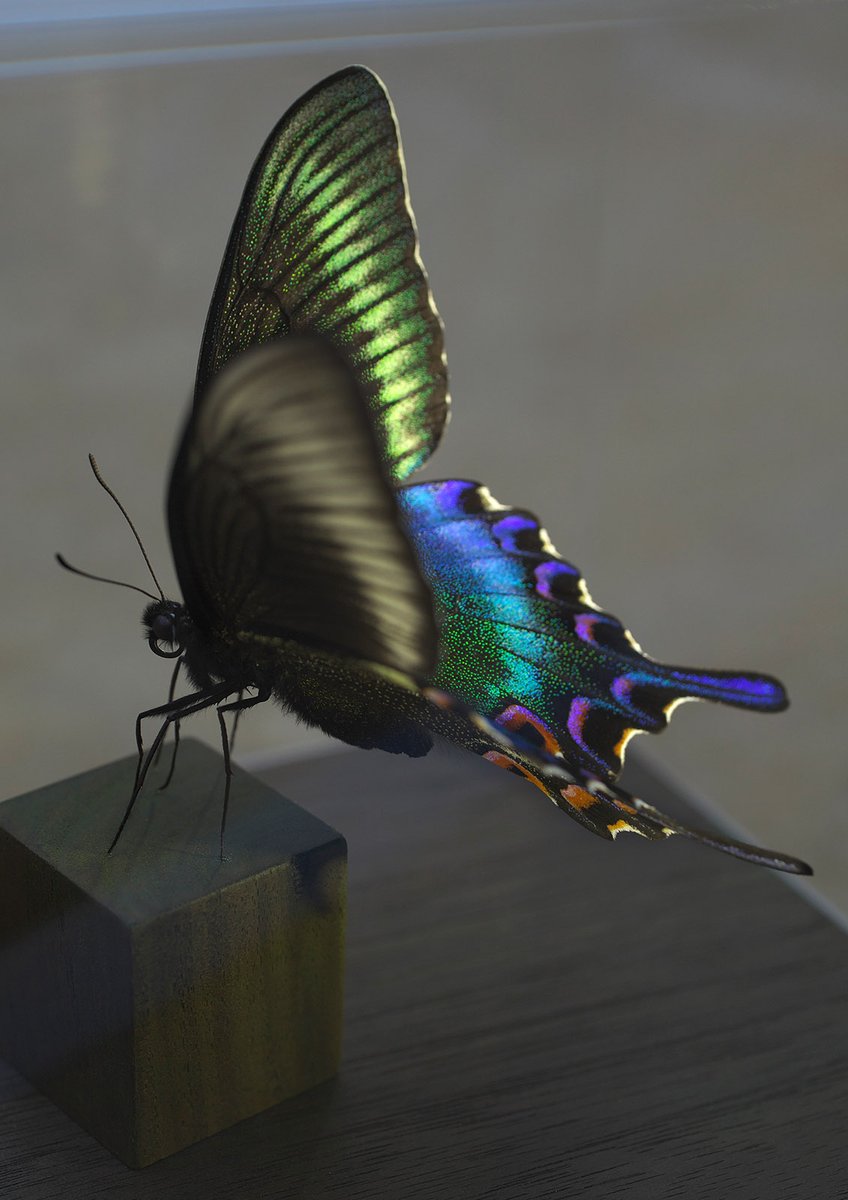 販売終了🦋山﨑 理 (@yamazaki_design) / Posts / X