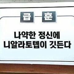 각설탕 (@cube_su_gar) on Twitter photo 