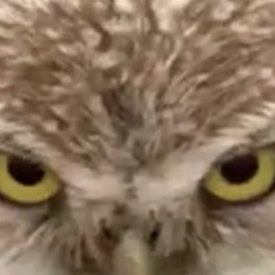 getoffmydickerson tweet media