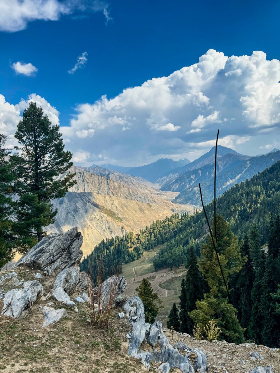 kupwarasentinel's tweet image. 🌄The Paradise on Earth - Gurez....Lost in layers of green, gold and endless blue

#Kashmir
#Tourism
#ScenicBeauty