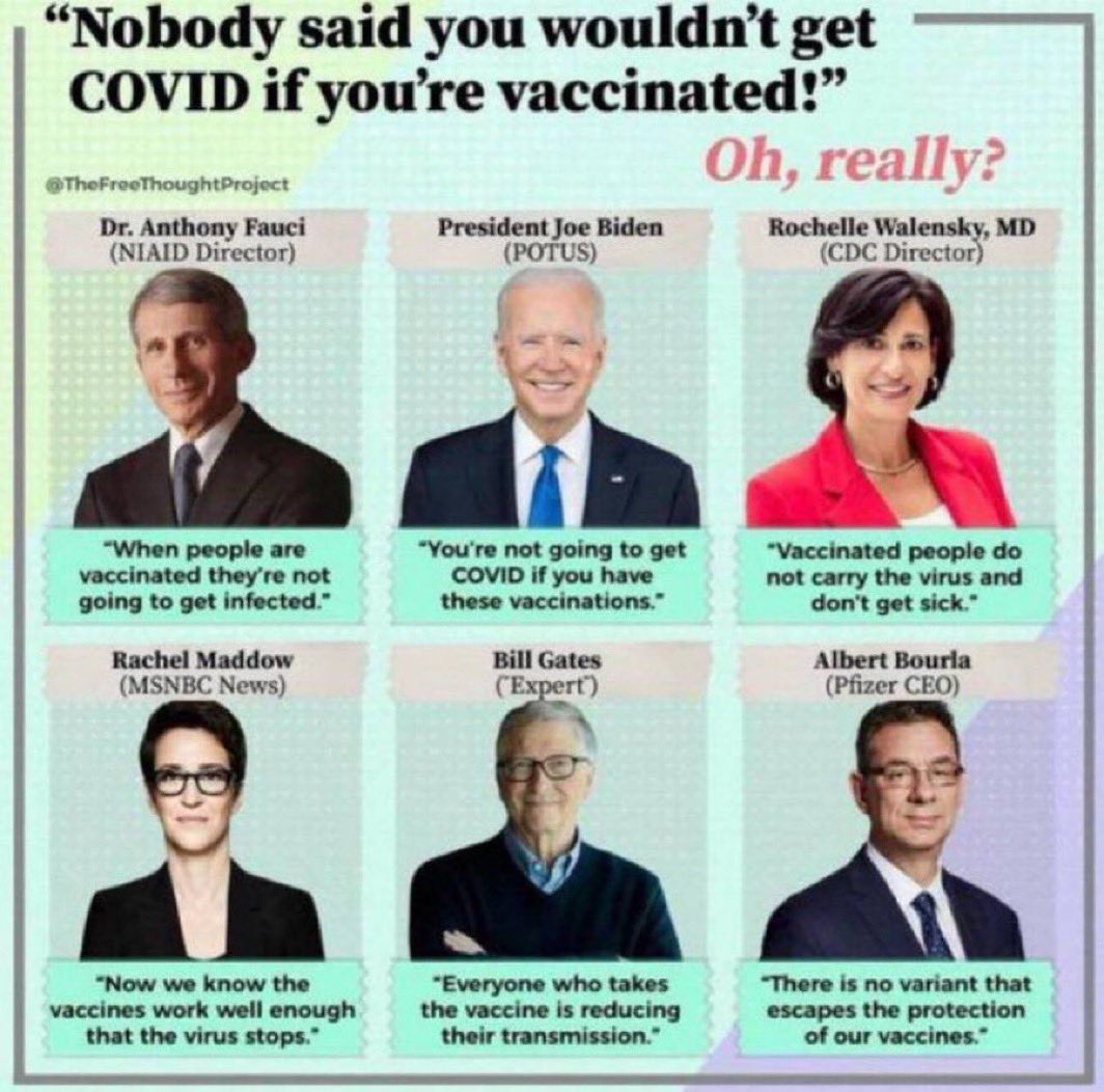 Anthony Fauci lied.

Joe Biden lied.

Rochelle Walensky and the CDC lied.

Rachel Maddow and the entire MSM lied.

Bill Gates lied.

Albert Bourla lied.

They ALL lied and many people died.

Prosecute them all for crimes against humanity.