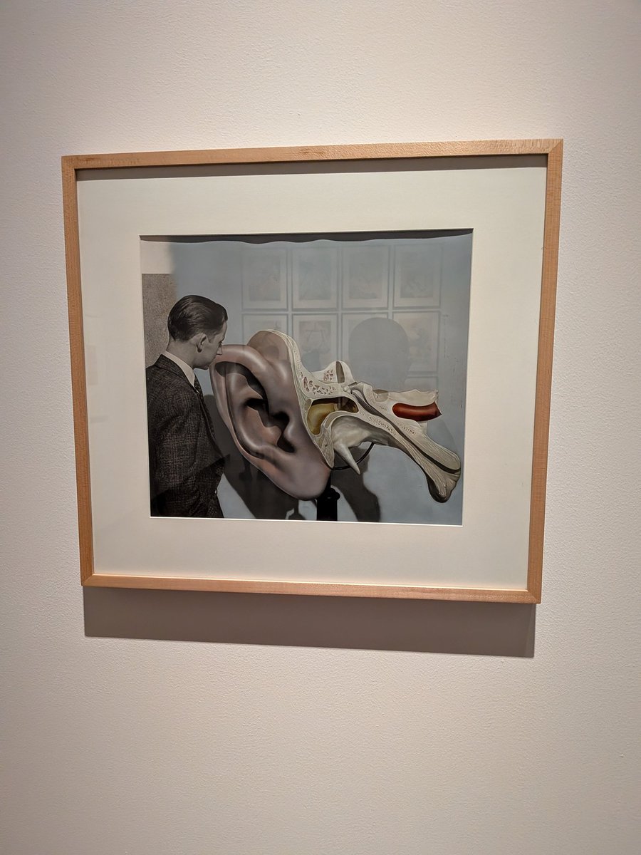 プシュケ tweet media