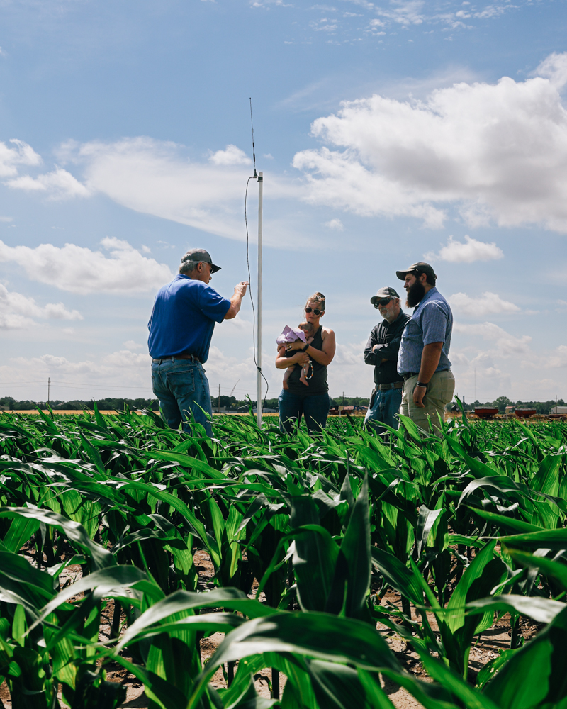 KSU-TAPS tweet media