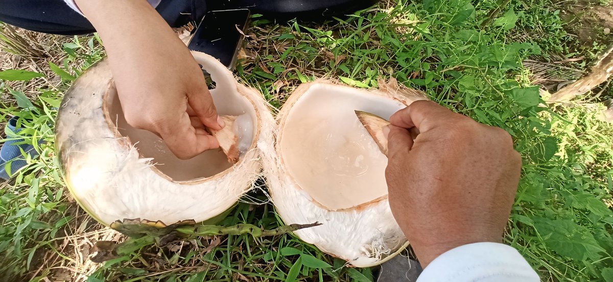 ™ 𝔐𝔞𝔰 𝔭𝔞𝔦𝔧𝔬 🎶 tweet media