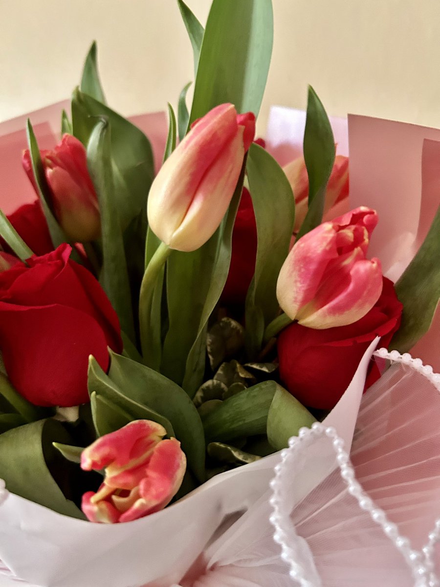YarelyTorres's tweet photo. Existirá algo más hermosa que los Tulipanes y Rosas? No lo creo 😍 https://t.co/mbmHFynZOG