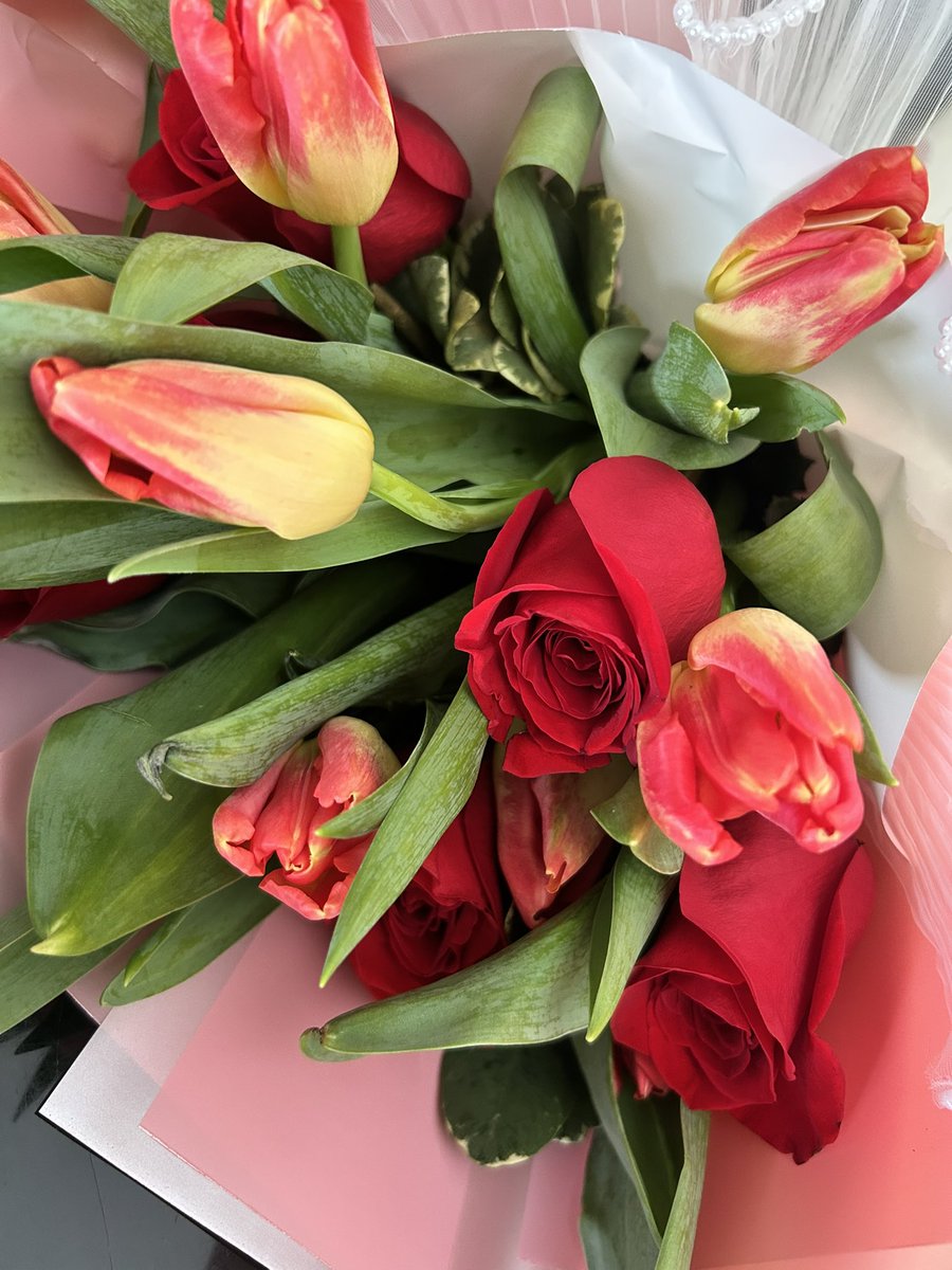 YarelyTorres's tweet photo. Existirá algo más hermosa que los Tulipanes y Rosas? No lo creo 😍 https://t.co/mbmHFynZOG