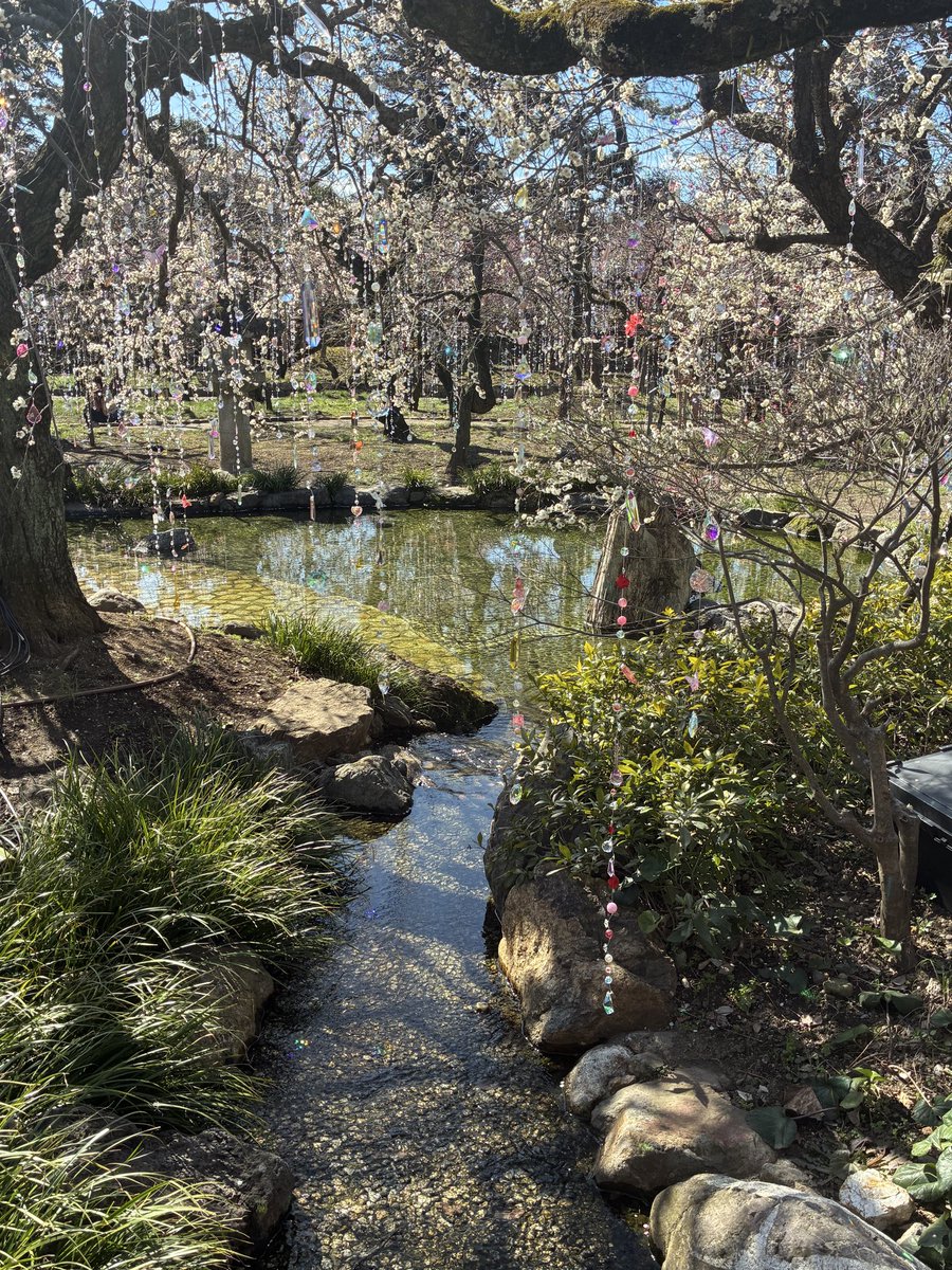 manmaru_mint's tweet image. #kmf2026