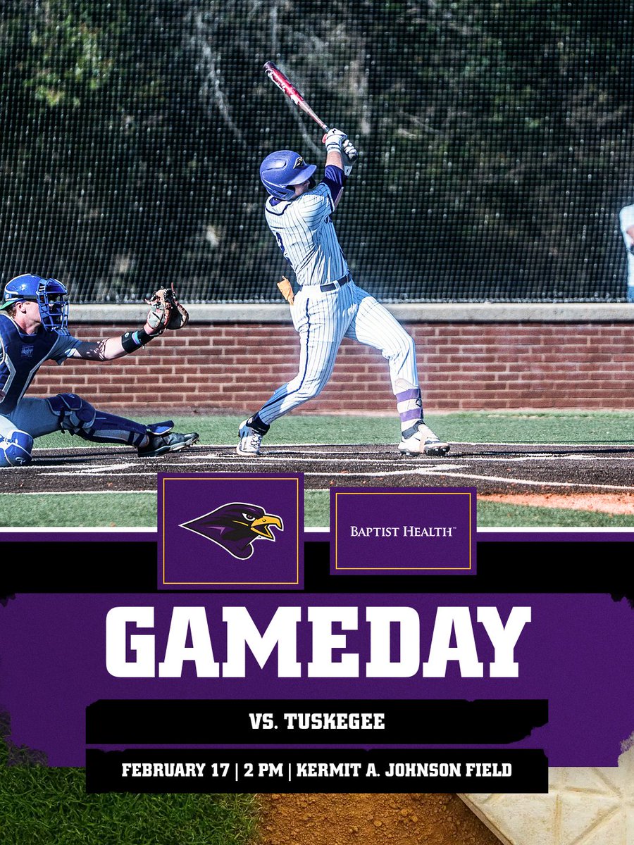 Montevallo Baseball tweet media