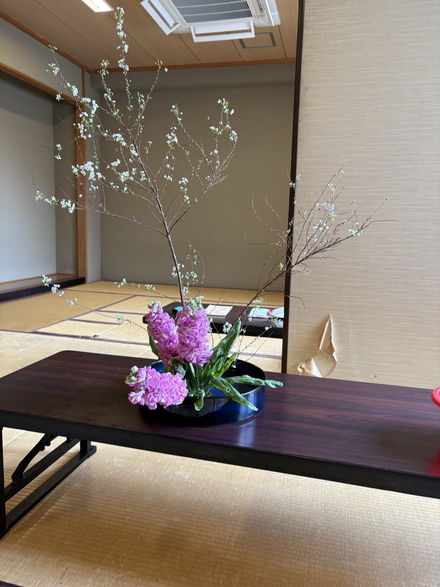 kado87bu's tweet photo. 本日のお稽古では、雪柳とストックをつかいました。
春らしい素敵なお花ですね。

埼玉大学華道部は常時部員募集中です。
お気軽にご連絡ください。 https://t.co/IXzFKNokMx