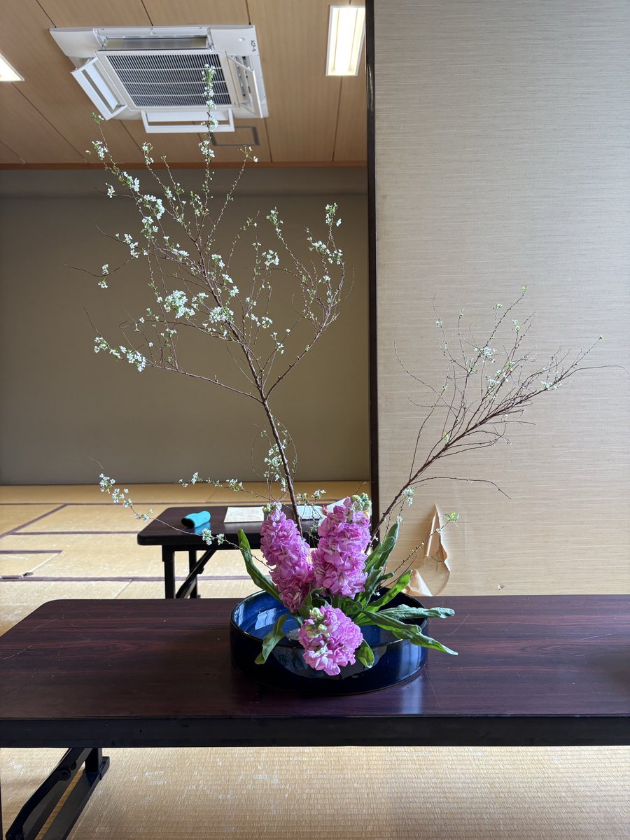kado87bu's tweet photo. 本日のお稽古では、雪柳とストックをつかいました。
春らしい素敵なお花ですね。

埼玉大学華道部は常時部員募集中です。
お気軽にご連絡ください。 https://t.co/IXzFKNokMx