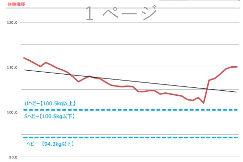 デビュー戦に向けて1ヶ月半で10kg減量
↓
結局対戦相手が現れず無差別級へ
↓
慌てて1週間で体重を増やした悲しいグラフ

ブラジリアン柔術は甘くない