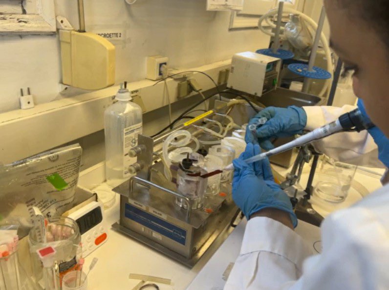UNAHoficial's tweet photo. Investigación que nace en la UNAH hoy cruza fronteras y llega hasta España 🇭🇳🌍

Un innovador gel para el tratamiento de la leishmaniasis cutánea, desarrollado con participación de científicas y docentes de nuestra Universidad, será evaluado en una clínica veterinaria en Murcia. Ciencia hondureña con impacto internacional.

https://t.co/G4ZMxRhmui