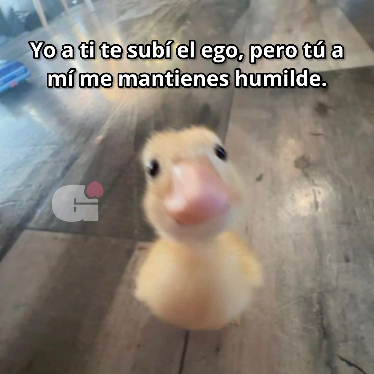 Ahí humildemente.