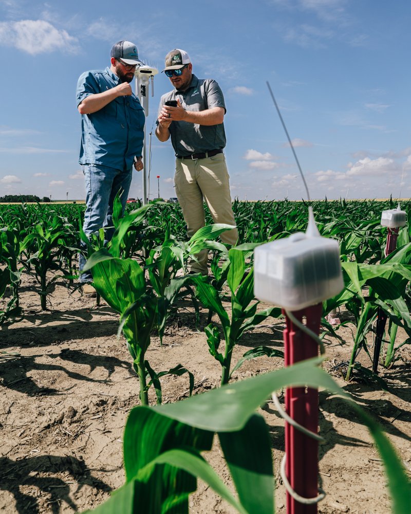 KSU-TAPS tweet media