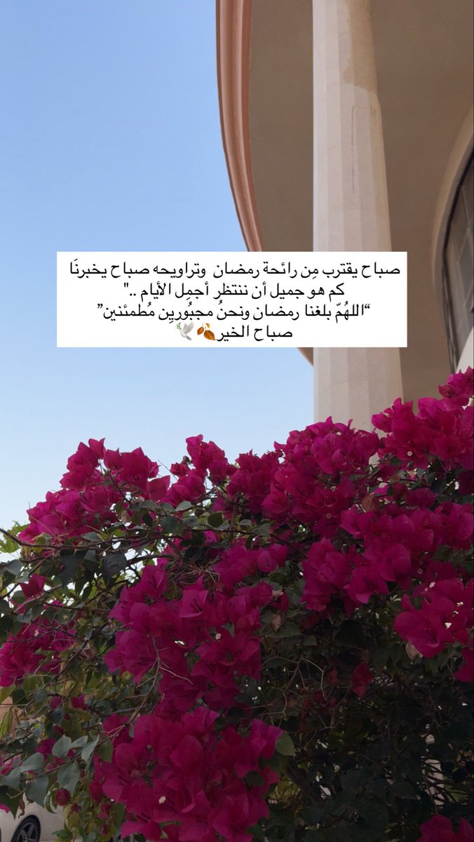 صباح يقترب مِن رائحة رمضان 
وتراويحه صباح يخبرنَا كم هو 
جميل أن ننتظر أجمِل الأيام .."

“اللهُمّ بلغنا رمضان ونحنُ
مجبُوريِن مُطمئنين” 
صباح الخير 🍂🕊️