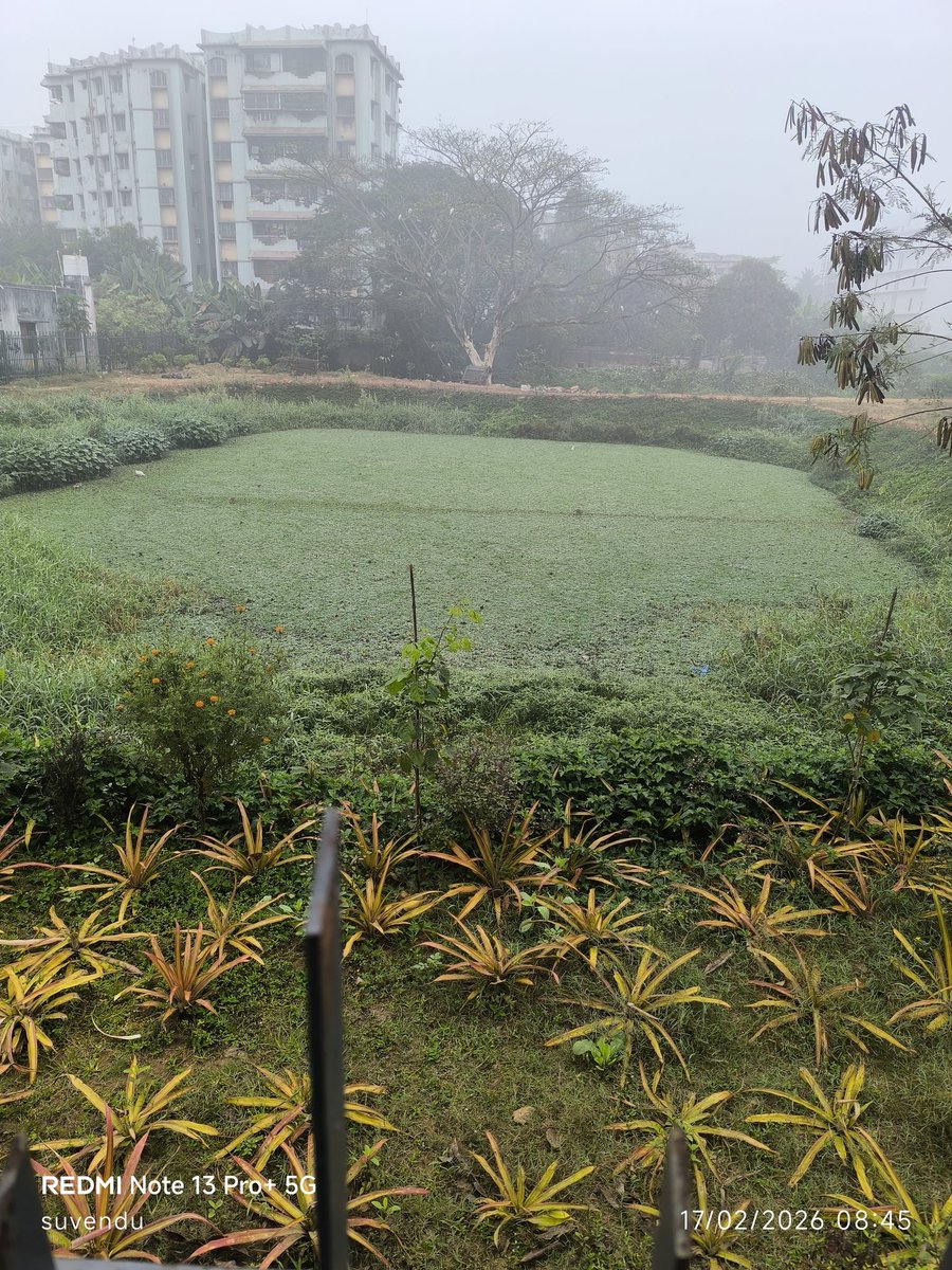 Suvendukumarray's tweet photo. Requesting @CMO_Odisha @bmcbbsr to consider procuring motorised, wheel-mounted pond cleaning machine for maintaining ponds developed under Mo Pokhari Yojana. Mechanised cleaning will help retain cleanliness, improve water quality, and sustain these valuable community assets. https://t.co/Rq1DYhCjcs