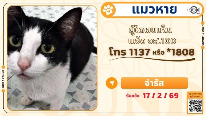 แมวหายจากหมู่บ้านปั้นทอง 3 ซ.ลาดปลาเค้า 76 เขตบางเขน ผู้ใดพบเห็นแจ้ง JS100 โทร *1808 หรือ 1137

รายละเอียดเพิ่มเติม : js100.com/en/site/lost_f…

#แมวหาย #ตามหาแมวหาย #JS100