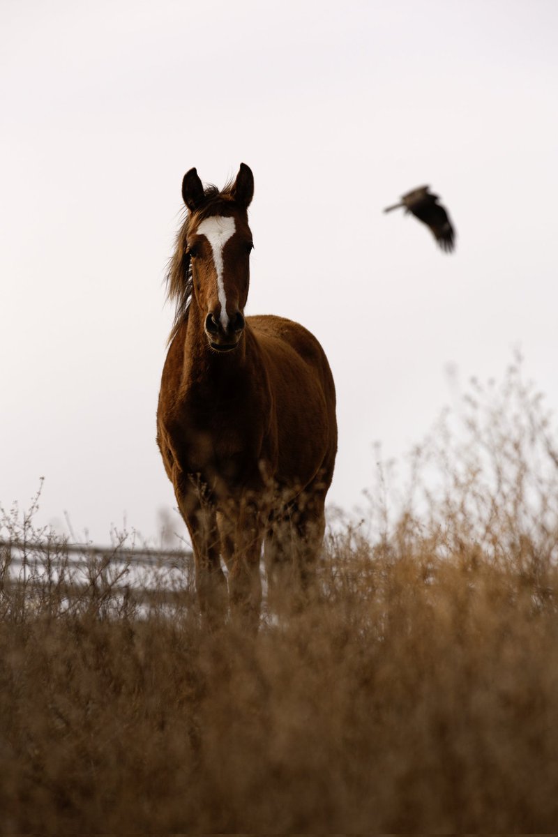 ギャラリー上田 / Gallery Ueda tweet media