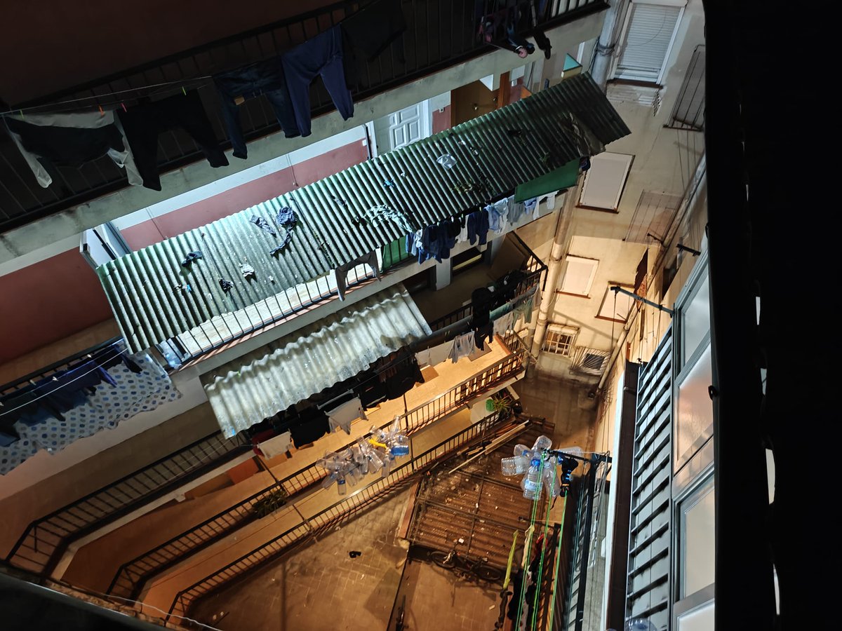 3CatInfo tweet media