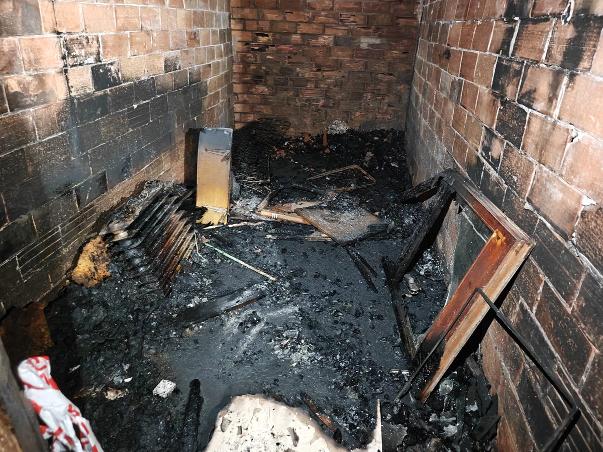 3CatInfo tweet media