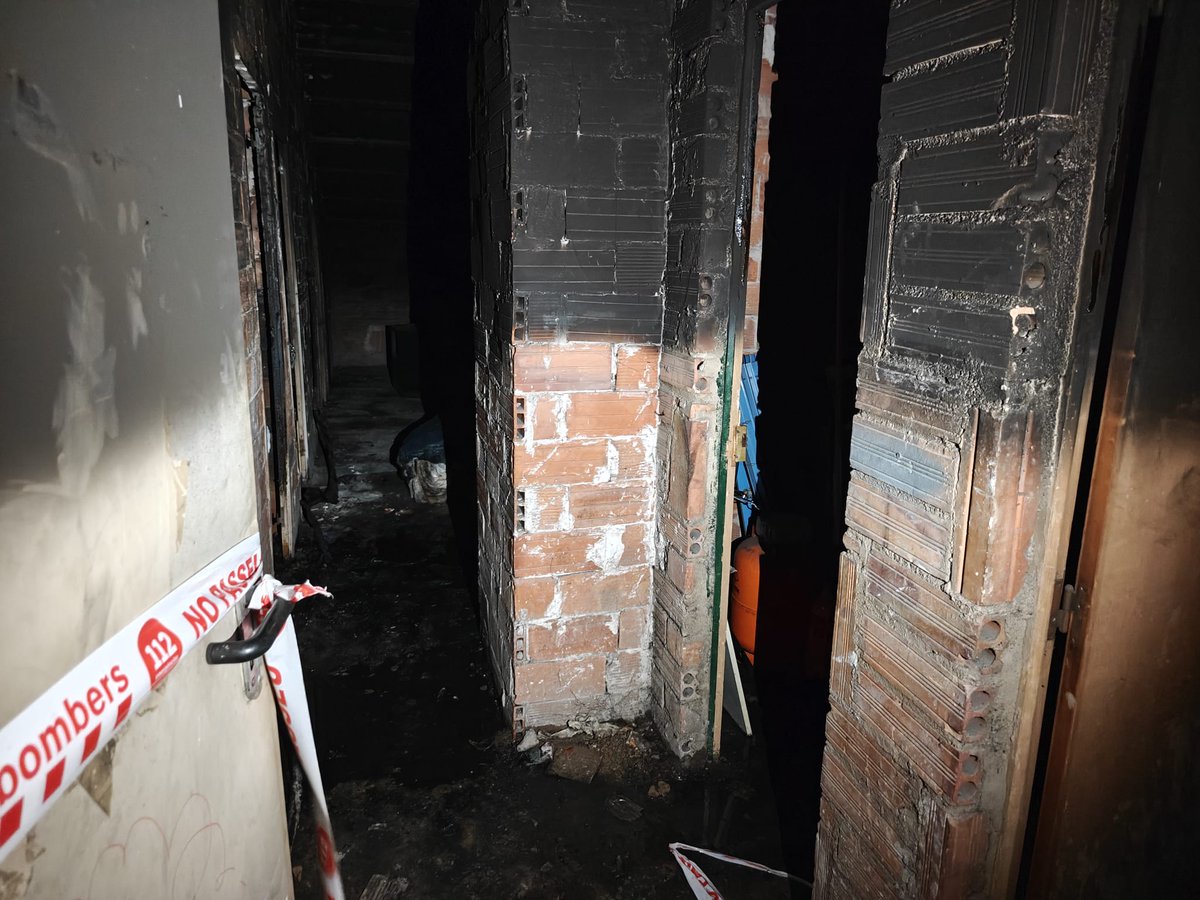 3CatInfo tweet media