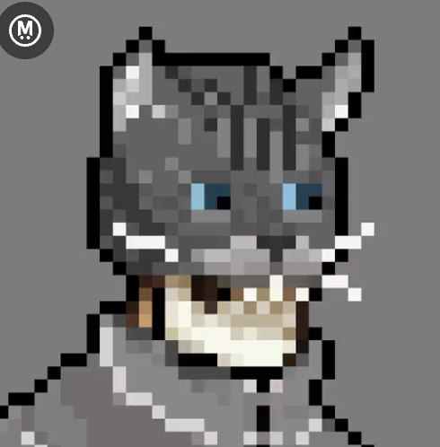 introvertd tweet media