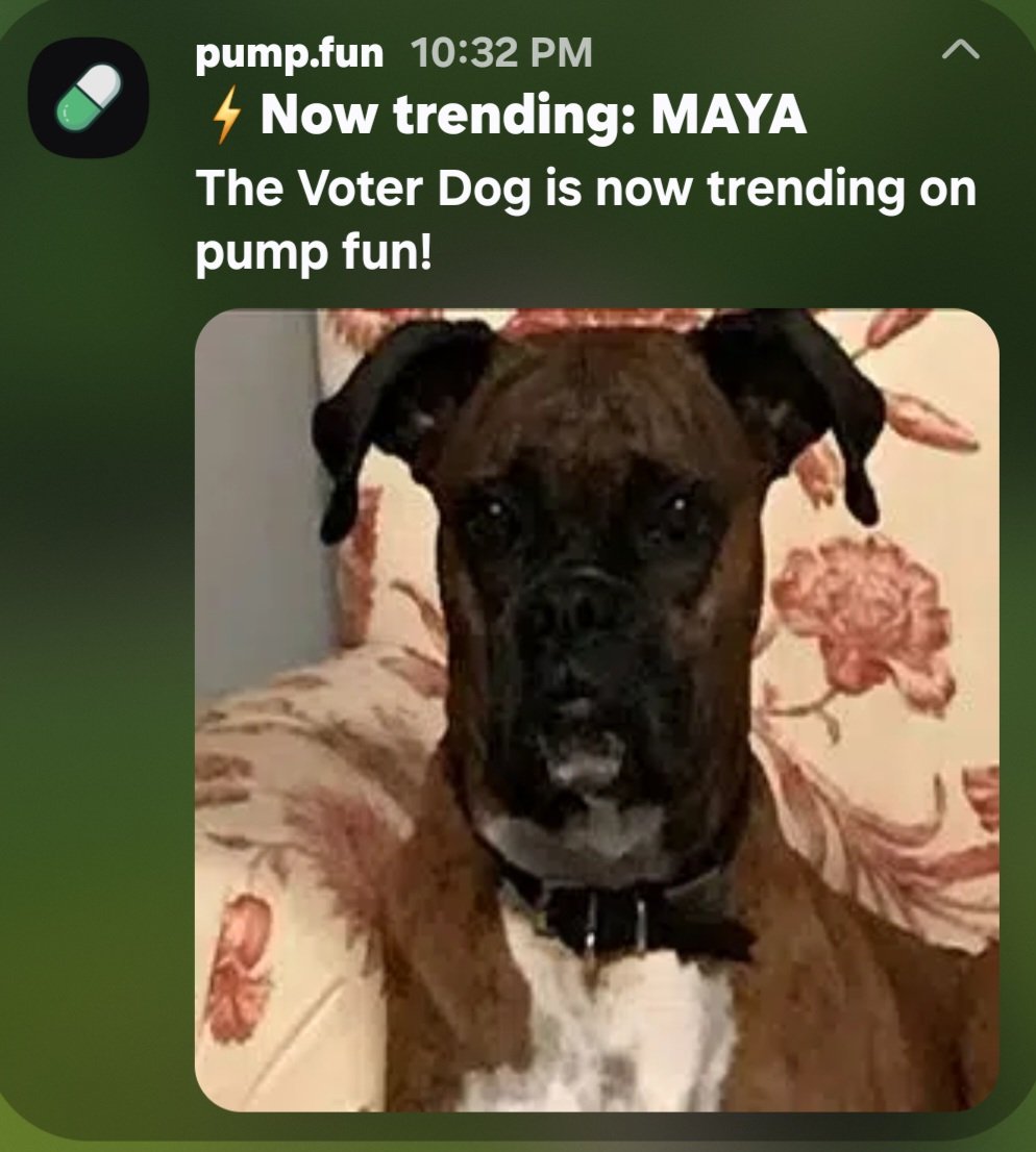 𝔊𝔯𝔞𝔳𝔞𝔫𝔬 tweet media