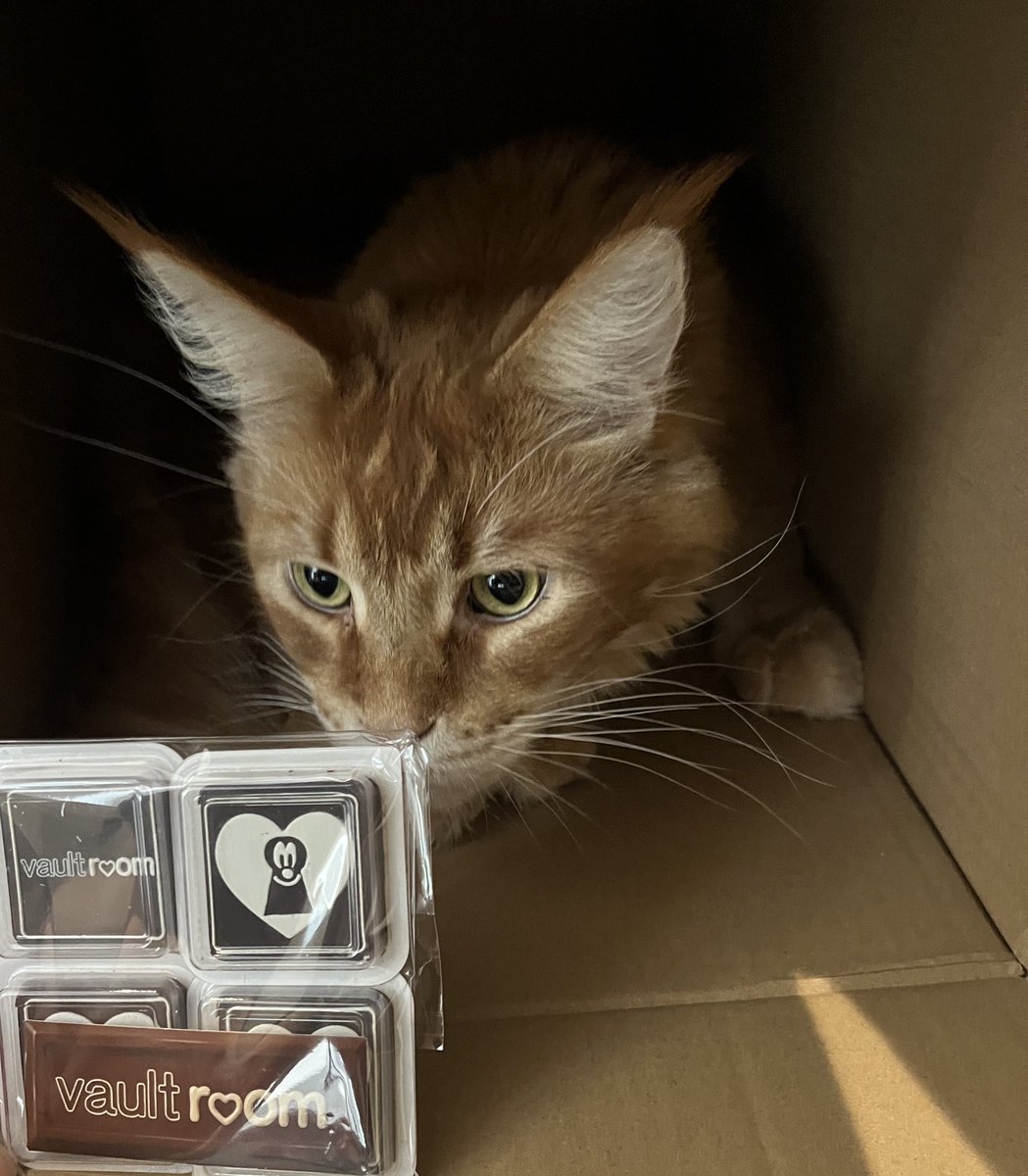 しんじさん (@Shinjisan_XD) / Posts / X