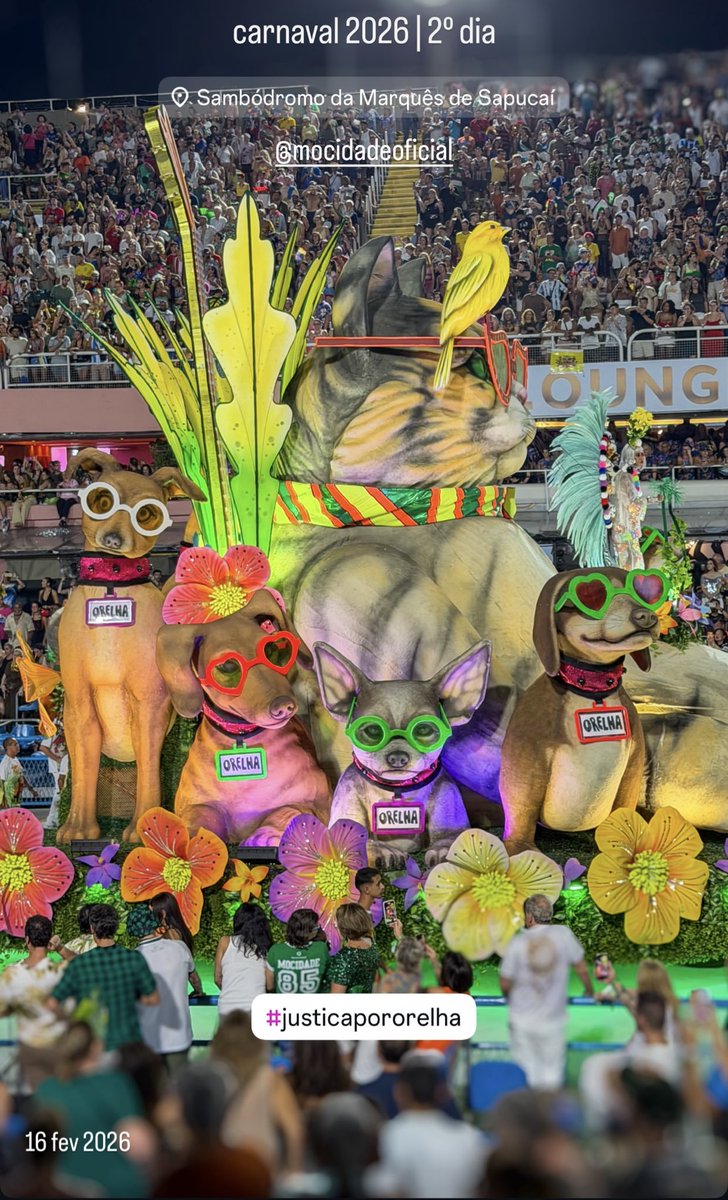 Homenagem merecida!
⁦<a href="/GRESMIPM/">Mocidade Independente 🤟🏿🎸</a>⁩ ganhou meu coração ❤️🐶